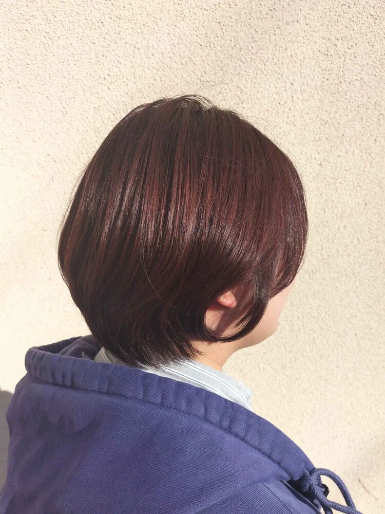 ブログ